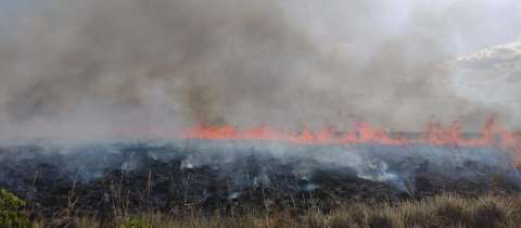 Se quema la Reserva Bojonawi en el Vichada