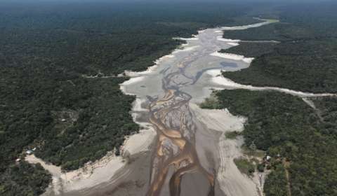 “No, no soy optimista frente a la Amazonia, pero tenemos una oportunidad”: Carlos Nobre