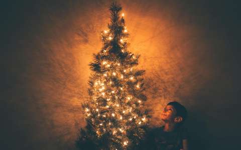 ¿Cómo poner las luces en el árbol de Navidad? Esta SÍ es la forma correcta