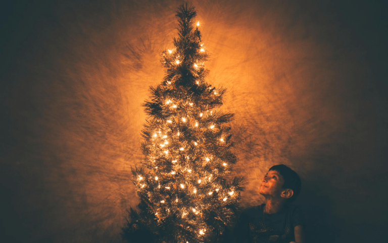 Poemas sobre la época decembrina (Verso a verso)