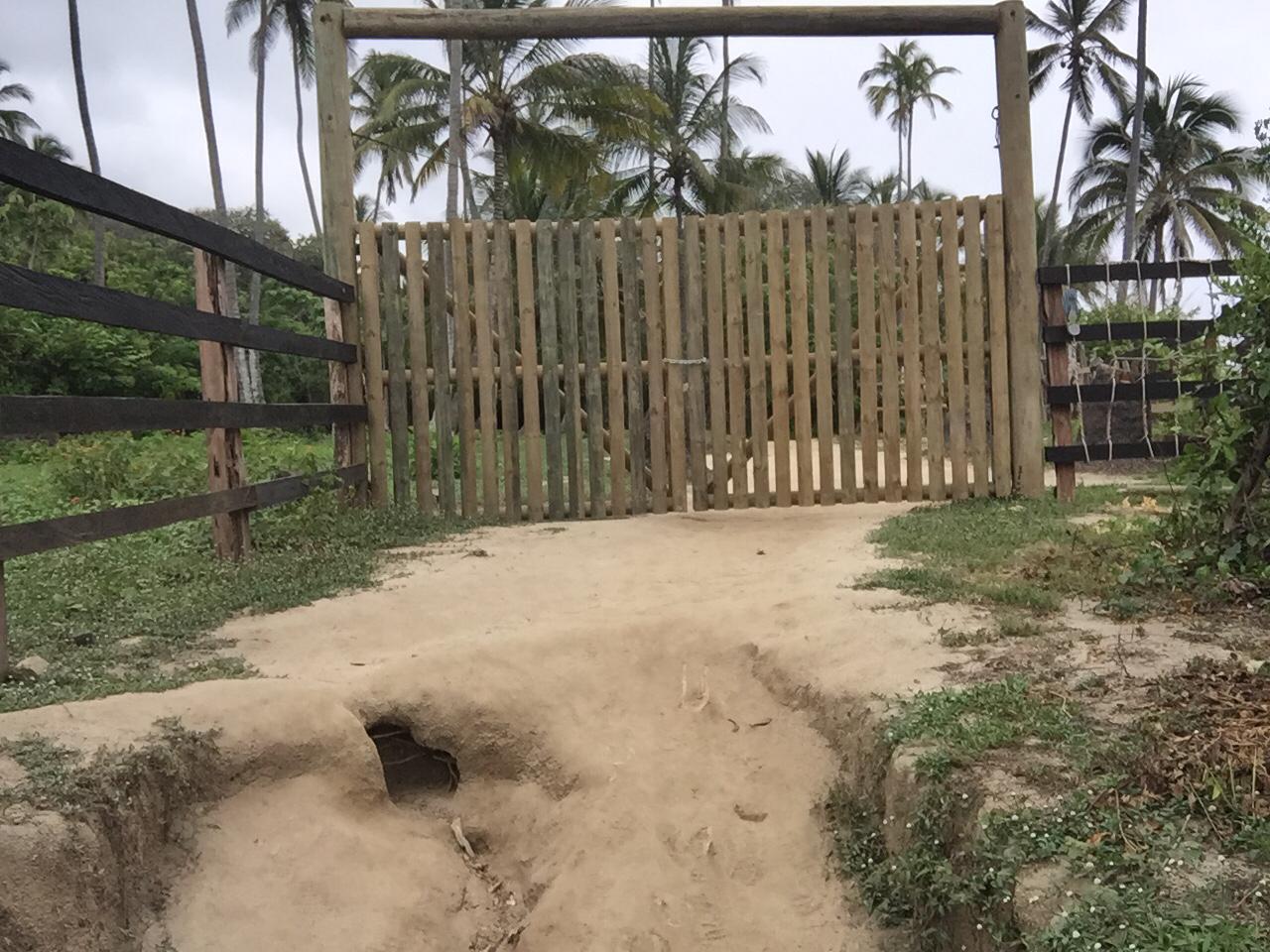 Construcción de cerca en el Tayrona