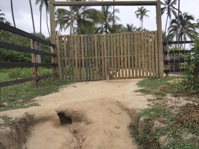 Abren investigación contra privados por violar normas ambientales en Parque Tayrona