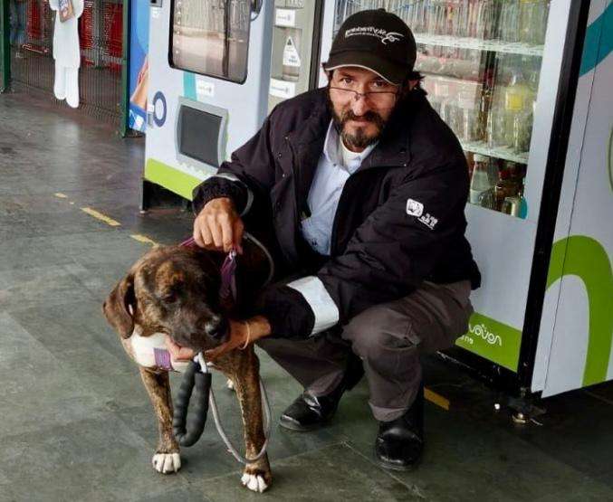 Conductor de TransMilenio adoptó a perrita que fue abandonada en un bus