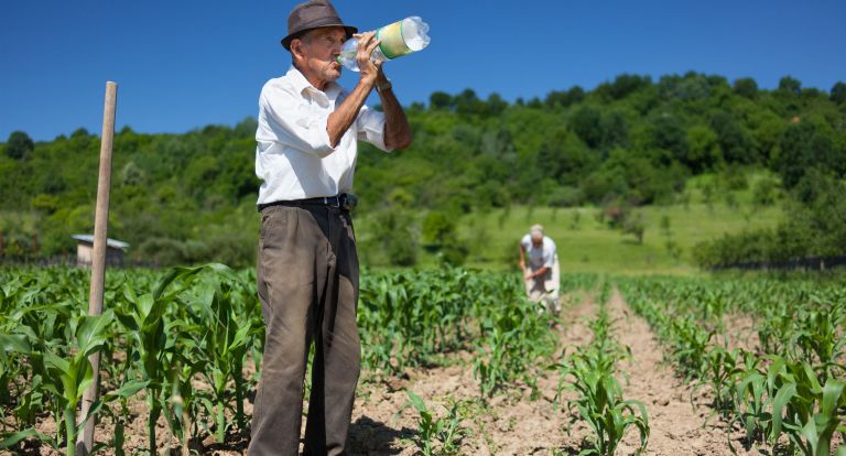 Proteger al agro de El Niño: estos son los beneficios del Gobierno para los productores