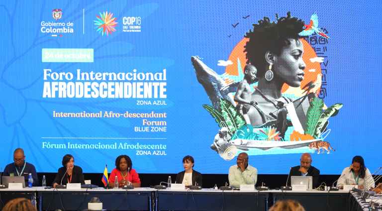 Colombia y países africanos logran primer borrador en COP16 sobre población afro