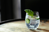 Cómo preparar el Gin Tonic perfecto: guía para principiantes