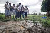 Los dueños de las tierras de nadie: histórica restitución de predios en Guacamayas