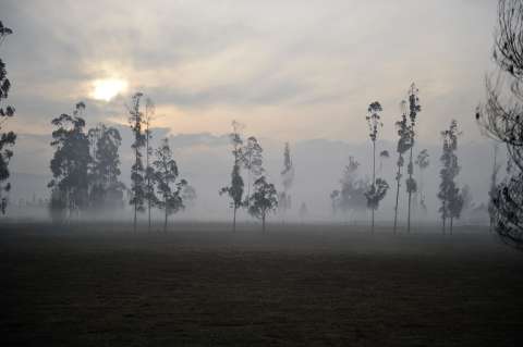 Futuro ambiental de la sabana: primeros avances técnicos, pero diciembre será definitivo
