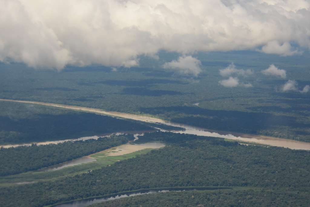 La afectación de los ciclos hídricos de la Amazonia ha alterado la salud de especies de flora y fauna.