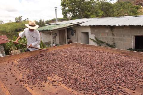 El agro alcanza récord histórico de empleo, pero ¿cómo es la calidad de este?