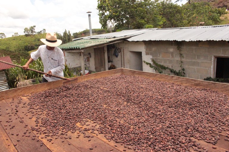 El agro alcanza récord histórico de empleo, pero ¿cómo es la calidad de este?