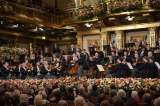 Gustavo Dudamel y la Filarmónica de Viena: mucho más que música