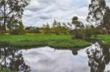 Complejo de humedales urbanos de Bogotá será declarado sitio Ramsar