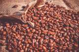 Otro sector que se sube al tren: los exportadores de café