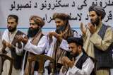 Talibanes destruyen 21.000 instrumentos musicales en campaña contra el “vicio”