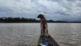 En fotos: Mapiripán, Meta, el destino natural que debe conocer en Colombia