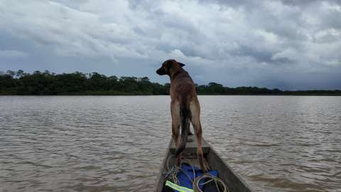 En fotos: Mapiripán, Meta, el destino natural que debe conocer en Colombia