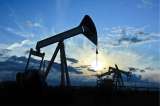 Se debilitará consumo de petróleo en 2013