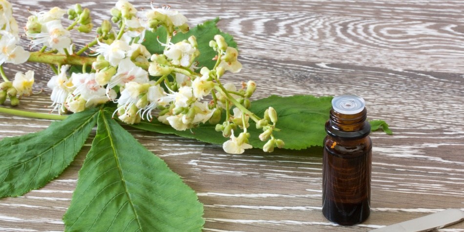 Terapia de flores de Bach que te ayudará a perder peso naturalmente