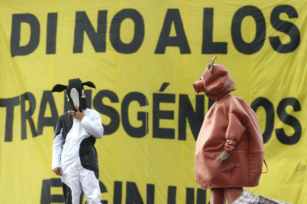 En 2004 un grupo de activistas de Greenpeace protestaron contra los alimentos transgénicos en Portugal . / EFE