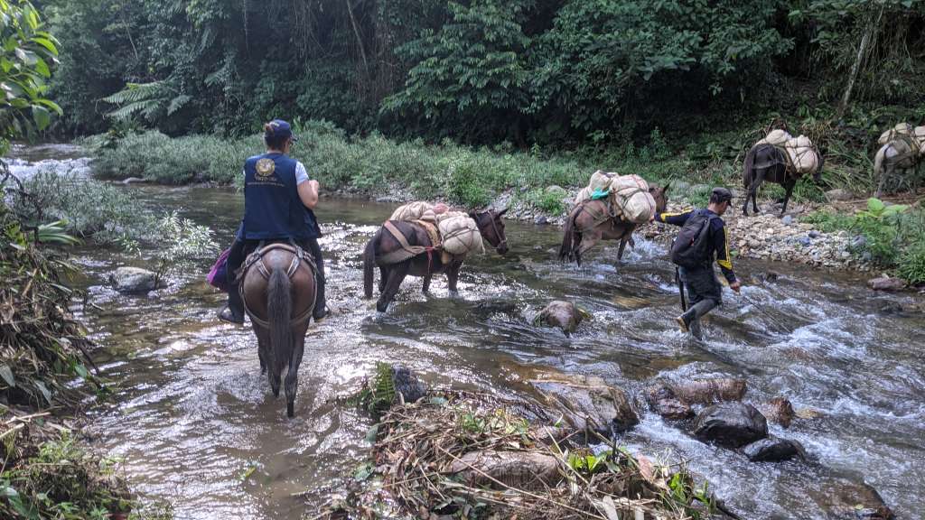 La MAPP-OEA realizó en el segundo semestre de 2023 833 misiones en terreno, en 300 centros poblados de 112 municipios de 18 departamentos del país.