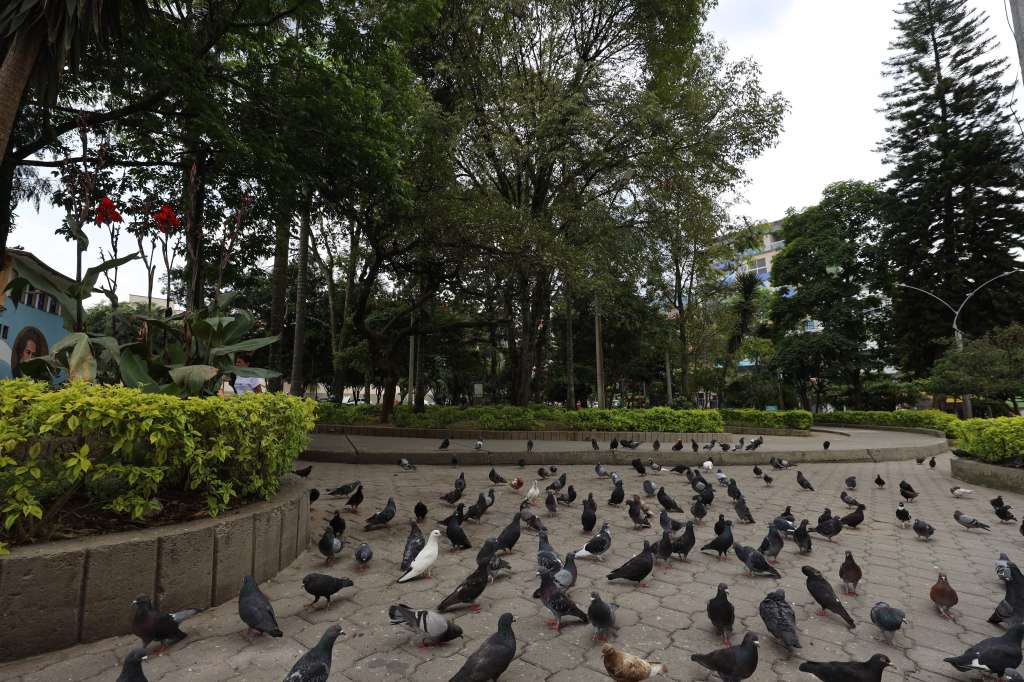 Parque de la Lozeria, en municipio Caldas. /Felipe Reyes-Instituto Humboldt.