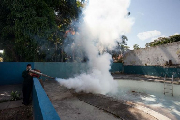 Cruz Roja se movilizará en países afectados por el zika para eliminar criaderos del mosquito