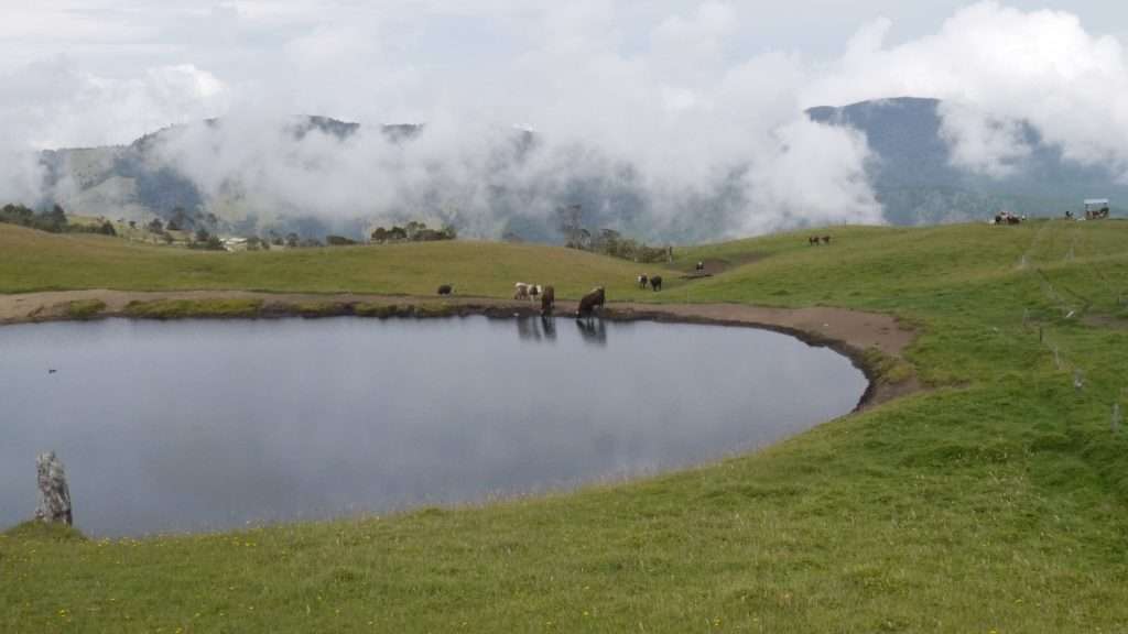 Sogamoso