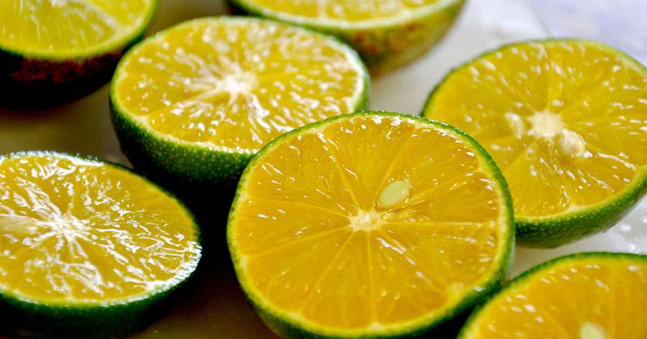 El limón, el arma contra la obesidad y las gripas