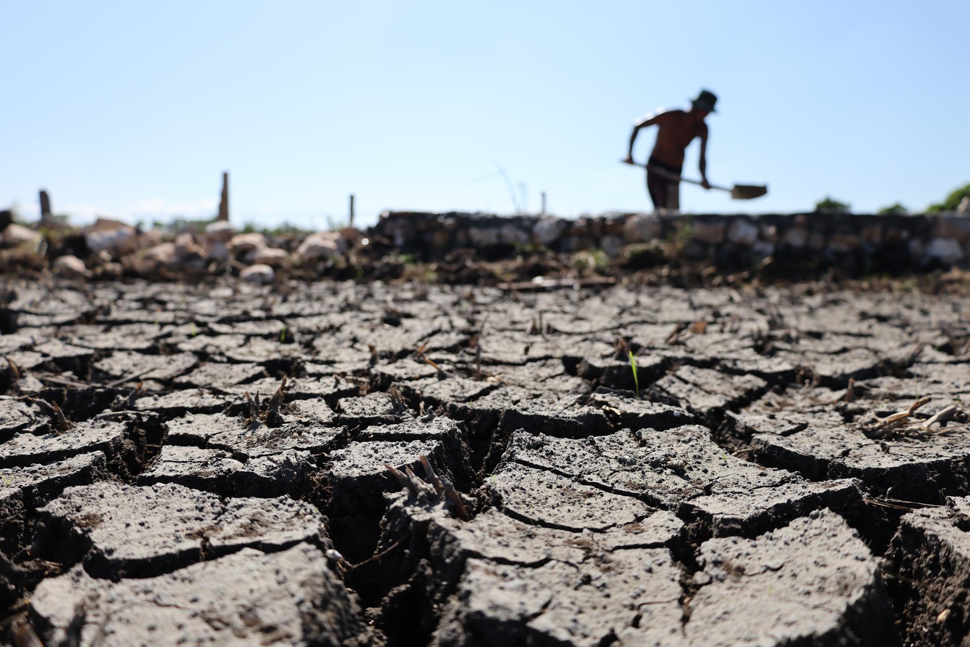 FOTODELDÍA ACEH BESAR (Indonesia), 23/07/2026.- Los campos de arroz agrietados por la prolongada sequía han provocado pérdidas a los agricultores de la zona de Aceh Besar, Indonesia. La Estación Meteorológica de Aceh (BMKG) emitió una alerta pública indicando que la mayor parte de la provincia de Aceh y otras regiones de Indonesia han entrado en la estación seca, y se espera que el fenómeno de El Niño alcance una fuerte intensidad hasta enero de 2027. EFE/ Hotli Simanjuntak