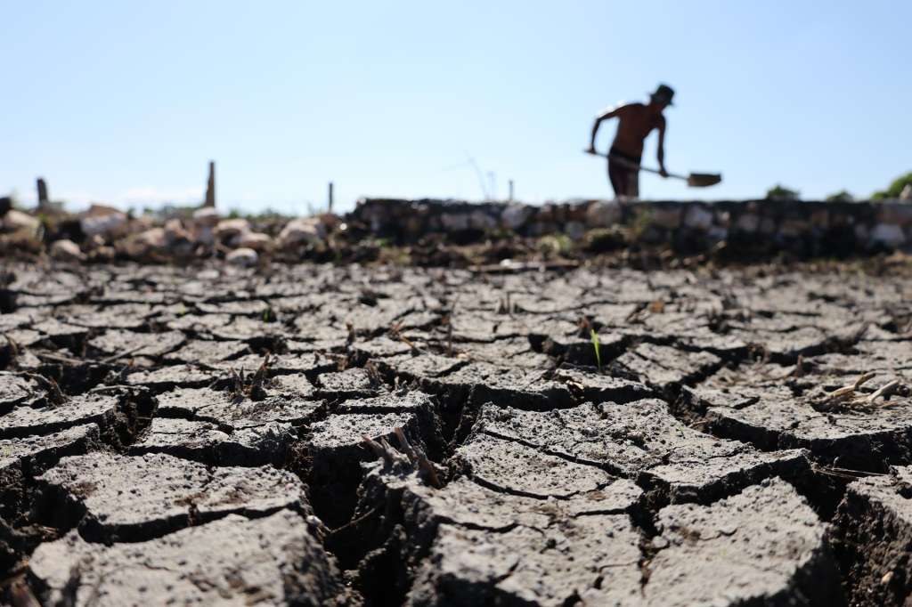 FOTODELDÍA ACEH BESAR (Indonesia), 23/07/2026.- Los campos de arroz agrietados por la prolongada sequía han provocado pérdidas a los agricultores de la zona de Aceh Besar, Indonesia. La Estación Meteorológica de Aceh (BMKG) emitió una alerta pública indicando que la mayor parte de la provincia de Aceh y otras regiones de Indonesia han entrado en la estación seca, y se espera que el fenómeno de El Niño alcance una fuerte intensidad hasta enero de 2027. EFE/ Hotli Simanjuntak