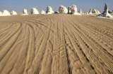 Egipto asegura haber matado a "diez terroristas" en el desierto occidental