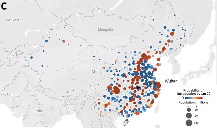 El investigador Zhanwei Du, de la U. de Texas y sus colegas, estimaron que 130 ciudades en China tenían una probabilidad mayor al 50% de tener un caso de COVID-19 importado de Wuhan en las 3 semanas anteriores a la cuarentena. El color rojo representa las ciudades con mayor probabilidad.