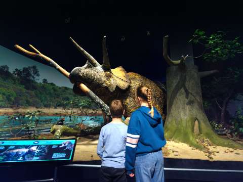 Así es la exposición que recrea en Nueva York el meteorito que acabó con los dinosaurios