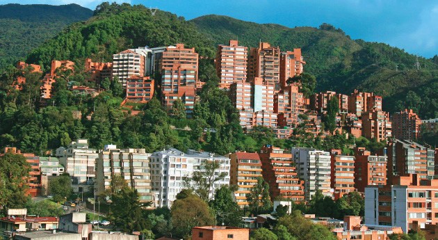Ave en peligro de extinción reapareció en los cerros orientales