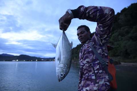 Un proyecto de ley que crea la pesca turística promete encender un intenso debate