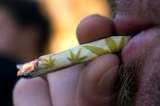 En Congreso proponen legalización total de la marihuana