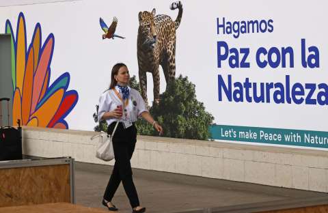 Llegamos a Cali y así está la ciudad para empezar la COP16