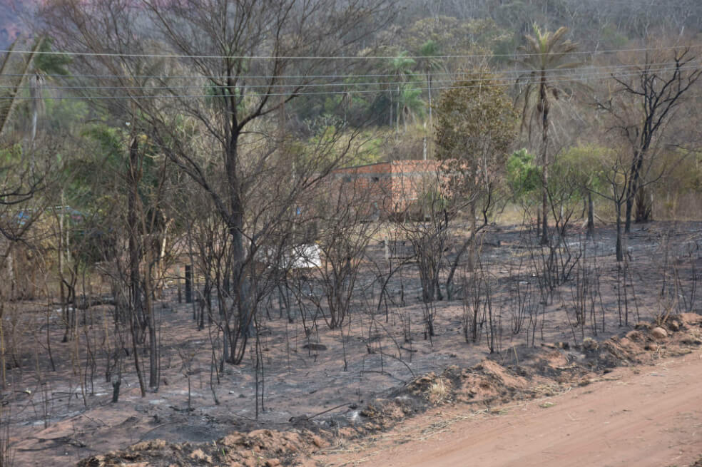 Fotografía cedida por la Agencia de Boliviana de Información (ABI) que muestra uno de los lugares afectados por los incendios en el municipio cruceño de Roboré (Bolivia). La humarada ha llegado hasta territorio peruano. / EFE