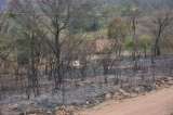 Humo de los incendios en la Amazonía y en Bolivia llega a Perú