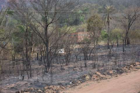 Humo de los incendios en la Amazonía y en Bolivia llega a Perú