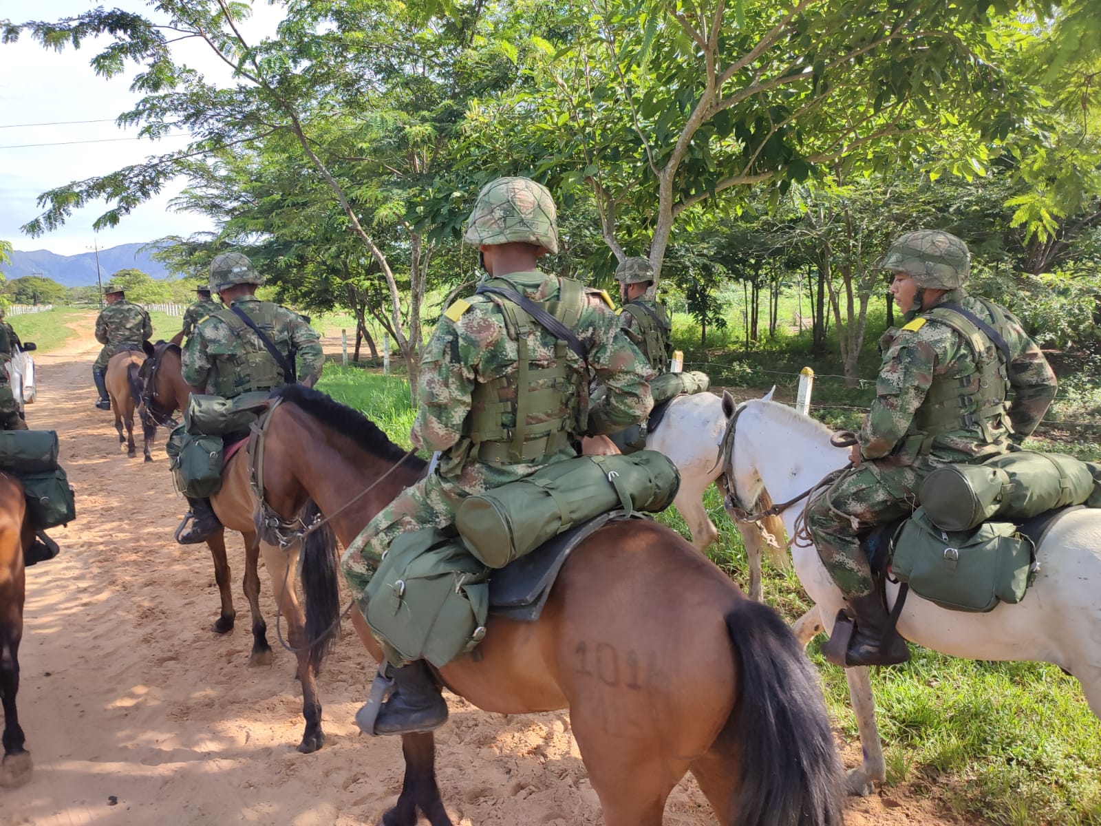 El Ejército Nacional, junto con la Universidad Nacional, crearon una raza de caballo con el objetivo de conservar al cabllo criollo de la Orinoquía.