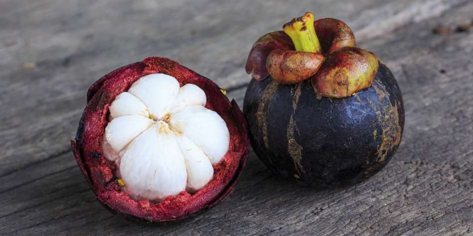 El mangostino, un tesoro de la medicina natural