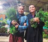 Emprendimientos femeninos: un camino complejo en Bogotá