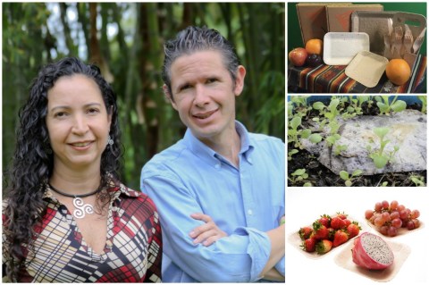 Los platos desechables de los que germinan plantas