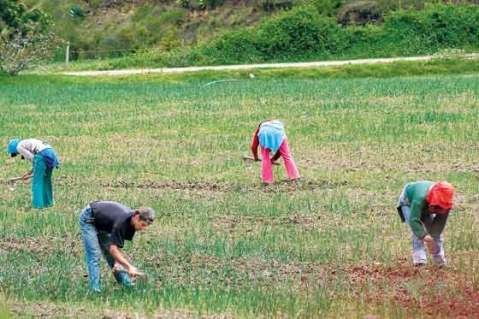 Avalan preacuerdo a siete personas investigadas por caso Agro Ingreso Seguro