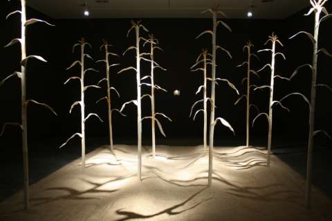 “Siembra”, una instalación que remueve la historia