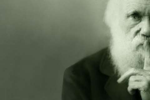 El doble de Darwin (Relato)