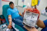 OMS aconseja rechazar donaciones de sangre de quienes regresen de países con zika