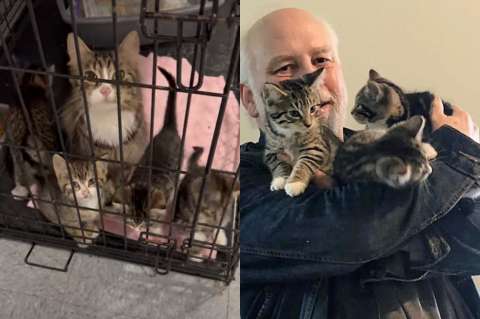Un viaje al refugio que cambió todo: iban por un gato y regresaron con cuatro